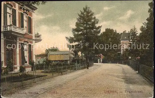 Dieren Tramstaat Kat. Dieren