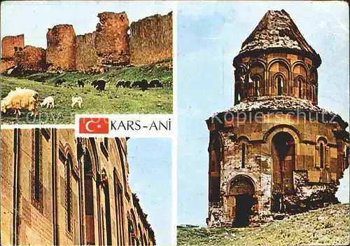 Kars Ani Schafe Kat. Kars