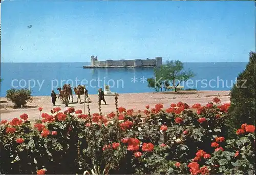 Mersin Kiz Kalesi Maidens Kamel  Kat. Mersin