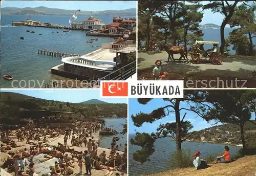 Istanbul Constantinopel Bueyuekada Pferdekutsche Strandleben / Istanbul /