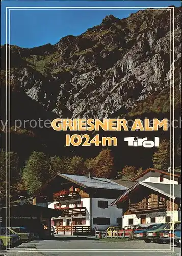 Wilder Kaiser Griesner Alm Ferienhaus Kat. Wildermieming