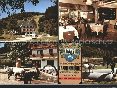 Grafenhausen Schwarzwald Gasthaus Pension Tannenmuehle  Kat. Grafenhausen