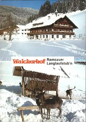 Ramsau Dachstein Steiermark Walcherhof Langlaufstubn Wildfuetterung Kat. Ramsau am Dachstein