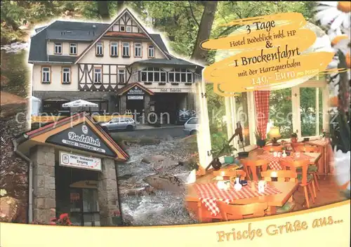 Schierke Harz Hotel Bodeblick  / Schierke Brocken /Harz LKR