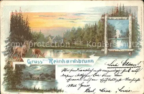 Reinhardsbrunn Landschaftsbilder Hirsch Reh Kat. Friedrichroda