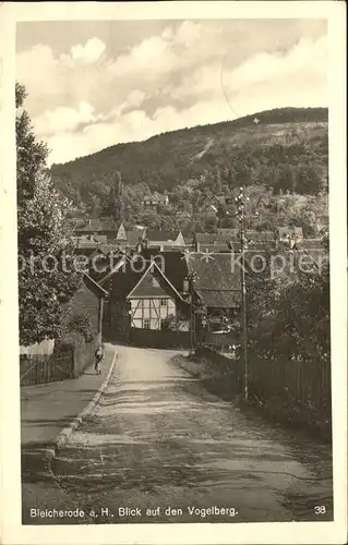 Bleicherode Blick zu Vogelberg Kat. Bleicherode