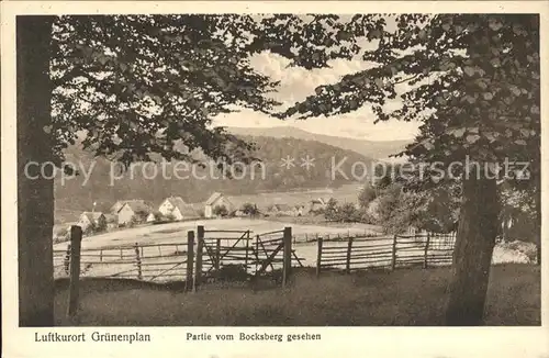 Gruenenplan Partie vom Bocksberg gesehen Kat. Delligsen