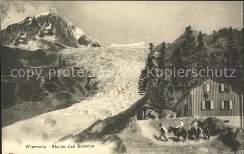 Chamonix Glacier des Bossons Kat. Chamonix Mont Blanc