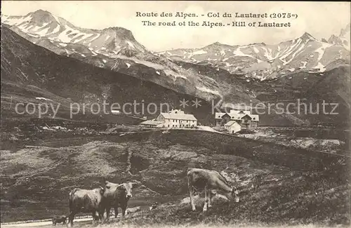 Le Lautaret Col du Lautaret Route des Alpes Vaches Kat. Saint Vincent les Forts