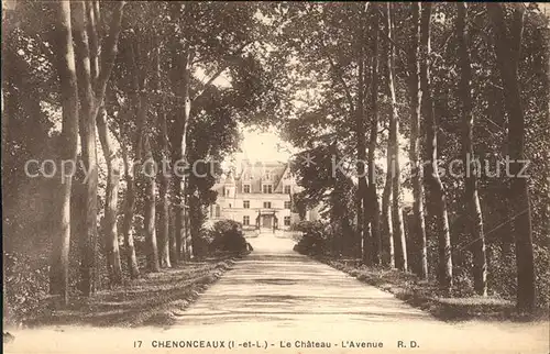 Chenonceaux Indre et Loire Chateau Avenue Allee Kat. Chenonceaux