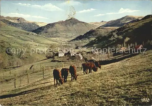 Auvergne Region Paturages Landschaft Viehweide Kat. Clermont Ferrand