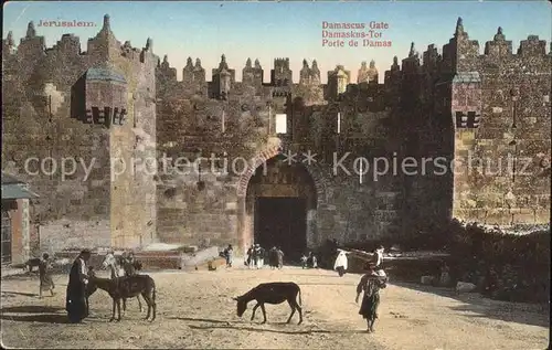 Jerusalem Yerushalayim Damaskustor Esel Kat. Israel