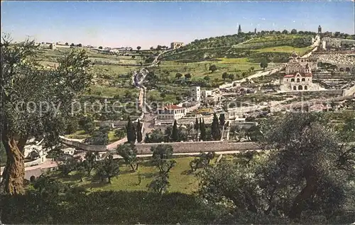 Jerusalem Yerushalayim oelberg und Gethsemane Mont des Oliviers et Gethsemani Kat. Israel