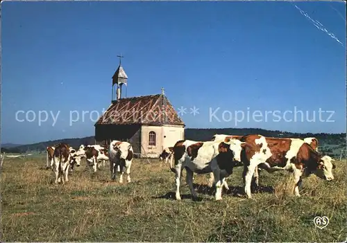 Les Fourgs Chapelle du Touriau Vaches Kat. Les Fourgs