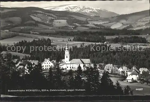 Wenigzell Panorama Blick gegen Stuhleck Sommerfrische Kat. Wenigzell