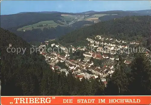 Triberg Schwarzwald  Kat. Triberg im Schwarzwald