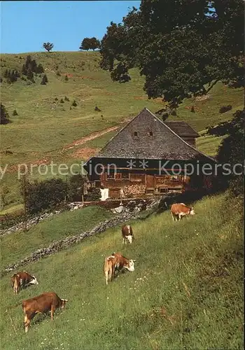 Hofsgrund Bauernhaus Museum Schniederlihof Kat. Oberried