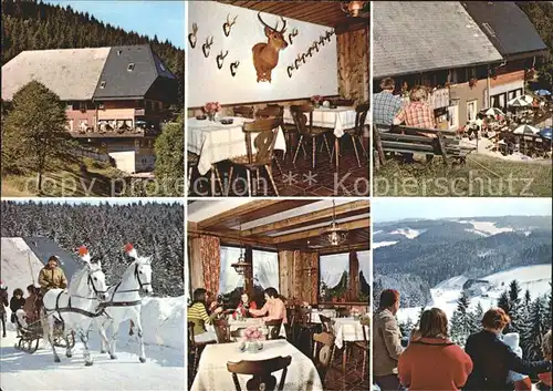 Hornberg Schwarzwald Hoehengasthof Pension Cafe Schoene Aussicht  Kat. Hornberg