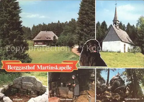 Furtwangen Berggasthof Martinskapelle  Kat. Furtwangen im Schwarzwald