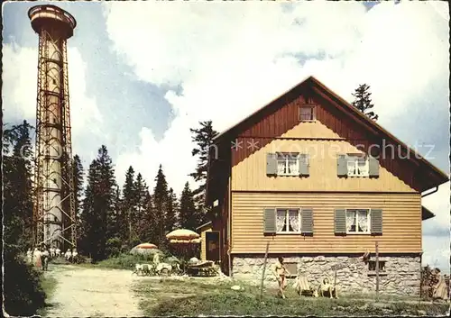 Titisee Neustadt Turm Fuerstenberg Rasthaus Hochfirst  Kat. Titisee Neustadt