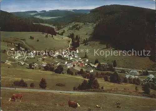 Muggenbrunn  Kat. Todtnau