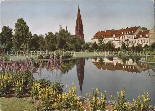 Freiburg Breisgau Stadtgarten Anlagen Muenster  Kat. Freiburg im Breisgau