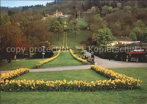 Freiburg Breisgau Stadtgarten  Kat. Freiburg im Breisgau