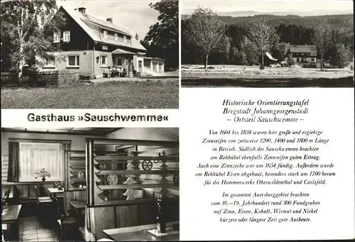 Johanngeorgenstadt Gasthaus Sauschwemme  Kat. Johanngeorgenstadt