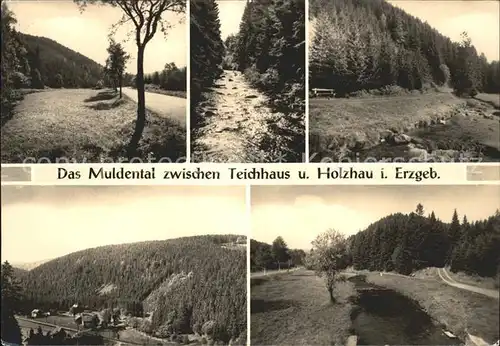 Holzhau Rechenberg Bienenmuehle Teichhaus Muldental  Kat. Rechenberg Bienenmuehle