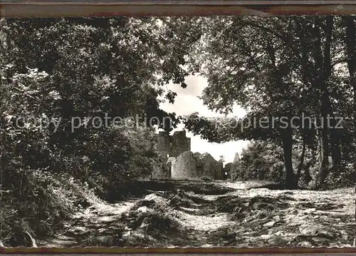 Oberlauchringen Ruine Kuessaburg Waldweg Kat. Lauchringen