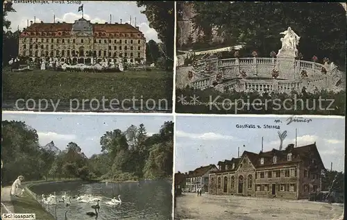Donaueschingen Fuerstl Schloss Donauquelle Schlosspark Gasthaus zum Sternen Kat. Donaueschingen