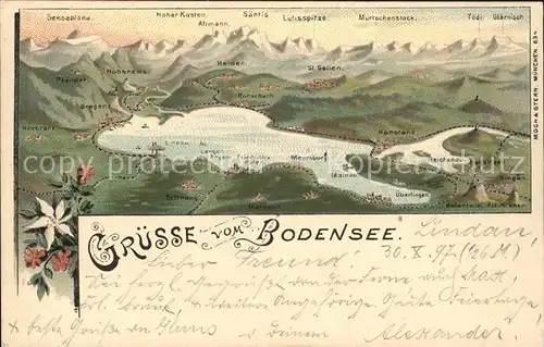 Lindau Bodensee Panoramakarte mit Alpensicht Kat. Lindau (Bodensee)