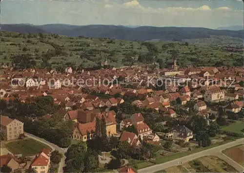 Herbolzheim Breisgau Gesamtansicht Kat. Herbolzheim