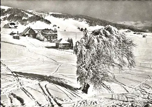 Schauinsland Hotel Haldenhof Panorama Kat. Oberried