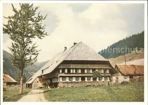 Menzenschwand 500 Jahre altes Schwarzwaldhaus Kat. St. Blasien