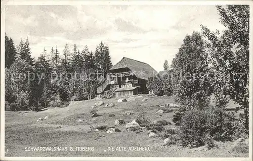 Triberg Schwarzwald Schwarzwaldhaus Die alte Adelheid Kat. Triberg im Schwarzwald