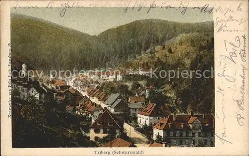 Triberg Schwarzwald  Kat. Triberg im Schwarzwald