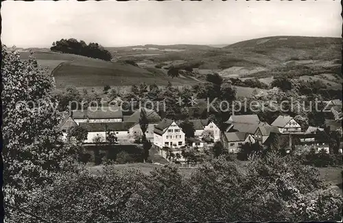 Winterkasten Lindenfels Gasthaus Pension zur Traube Kat. Lindenfels