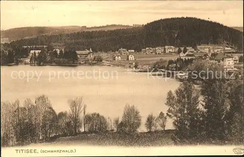 Titisee Panorama Schwarzwald Kat. Titisee Neustadt