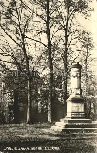 Pillnitz Burgruine mit Denkmal Kat. Dresden