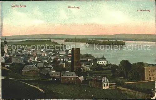 Ruedesheim Rhein Panorama mit Oberburg und Niederburg Kat. Ruedesheim am Rhein