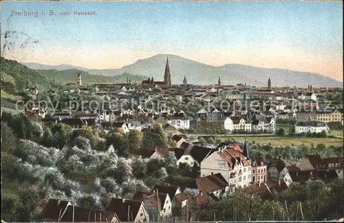 Freiburg Breisgau Blick vom Hebsack Kat. Freiburg im Breisgau