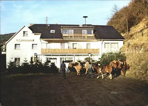 Obliers Gasthaus Pension Talesruh Pferde Kat. Lind