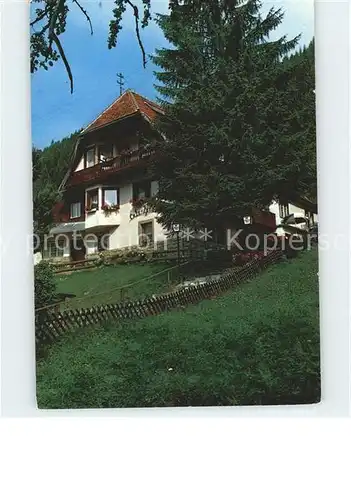 Menzenschwand Cafe Pension Haus Hubertus Kat. St. Blasien