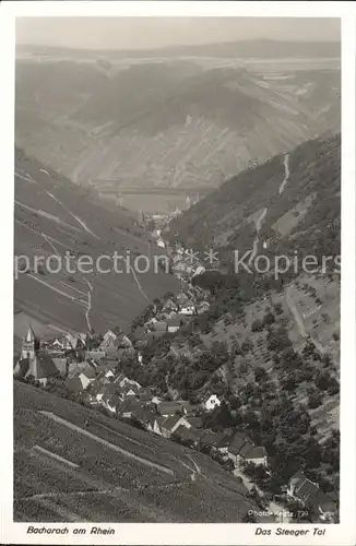 Bacharach Rhein Panorama Steeger Tal Weinberge Kat. Bacharach