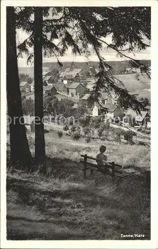 Tanne Harz Blick vom Waldrand Ruhebank Kat. Tanne Harz