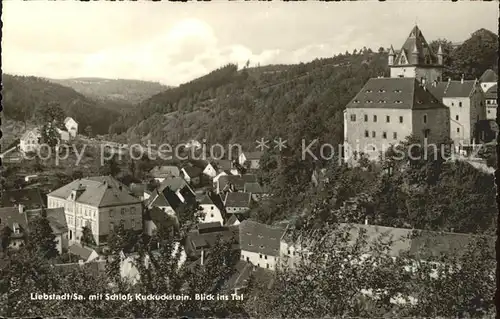 Liebstadt Schloss Kuchuckstein  Kat. Liebstadt