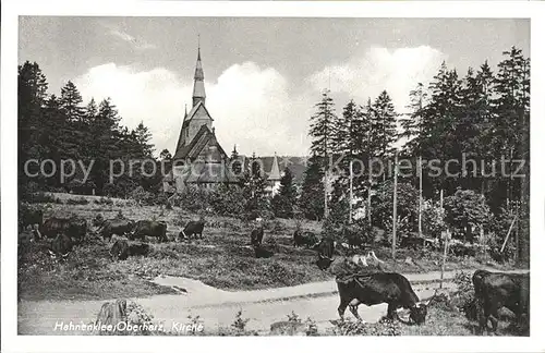 Hahnenklee Bockswiese Harz Kirche Kuehe Kat. Goslar