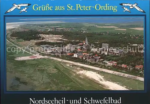 St Peter Ording Moewe Fliegeraufnahme Kat. Sankt Peter Ording