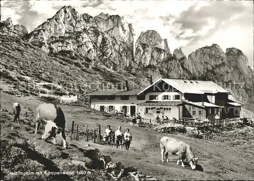 Aschau Chiemgau Steinlingalm Kuehe Kampenwand Kat. Aschau i.Chiemgau